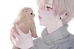 动漫男男视频,激情四溢的青春热血演绎